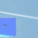 Cassano 14.05.2011 (insetto)